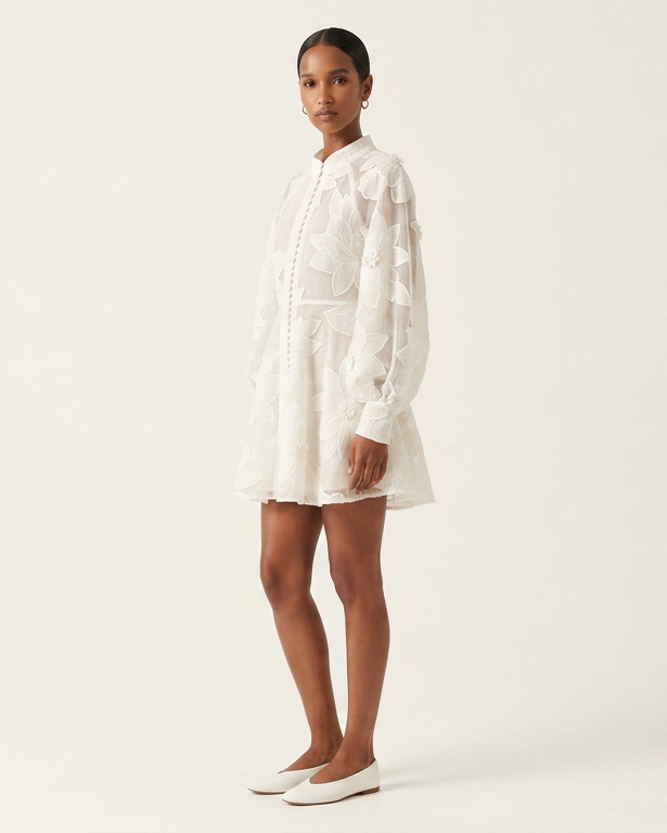 Ivory Organza Embroidered Mini Dress