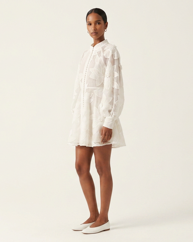 Ivory Organza Embroidered Mini Dress