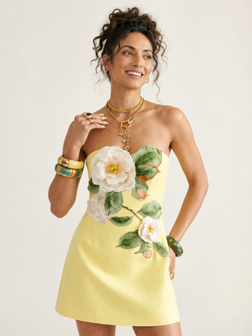 Radiant Embroidered Floral Mini Dress