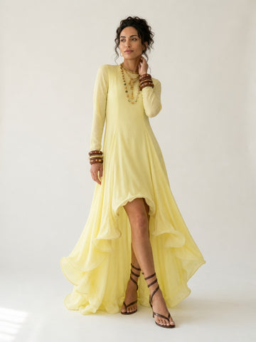 Radiant Ruffle Mesh Maxi Dress
