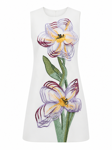 Radiant Embroidered Mini Dress