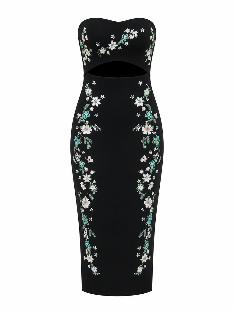 Radiant Embroidered Mesh Tube Dress