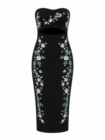 Radiant Embroidered Mesh Tube Dress