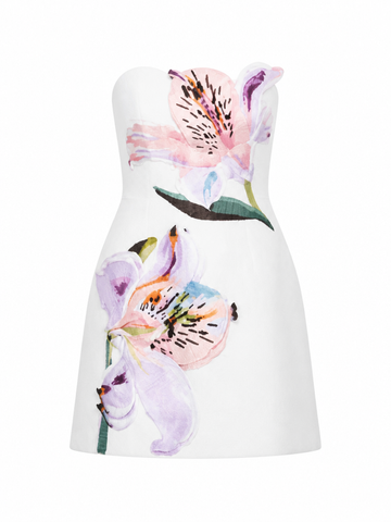 Radiant Embroidered Floral Mini Dress