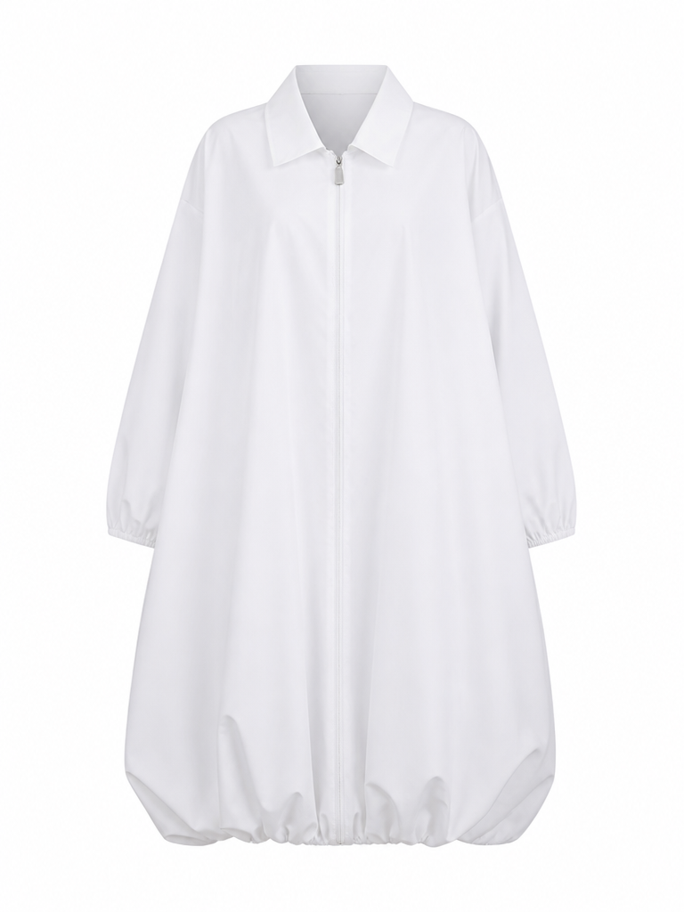 Radiant Loose Lantern Sleeve Dress