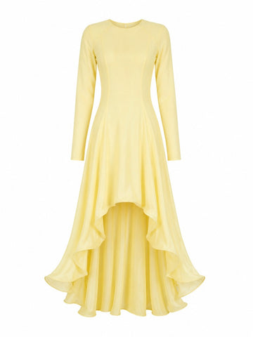 Radiant Ruffle Mesh Maxi Dress