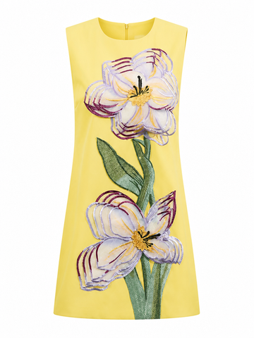 Radiant Embroidered Mini Dress