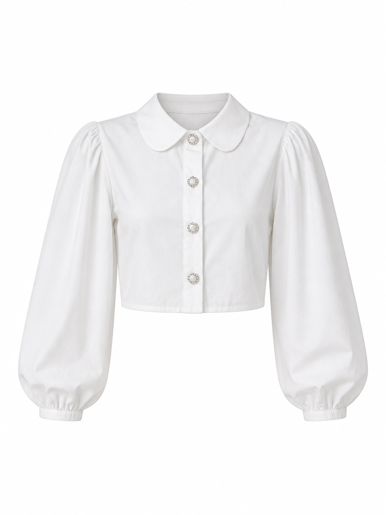 Radiant Puff Sleeve Blouse