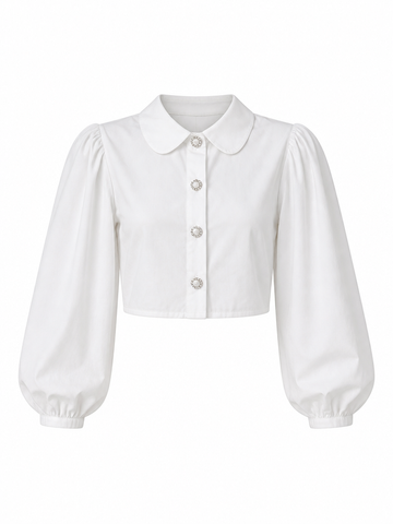 Radiant Puff Sleeve Blouse