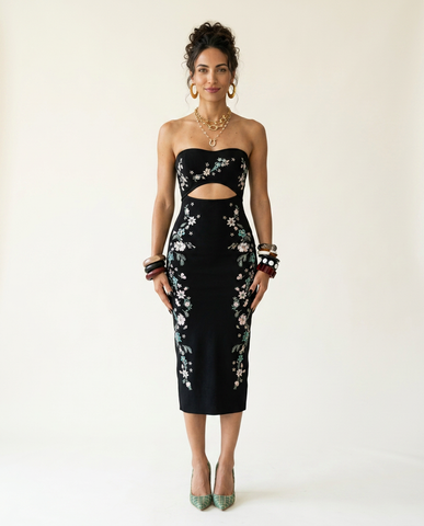 Radiant Embroidered Mesh Tube Dress
